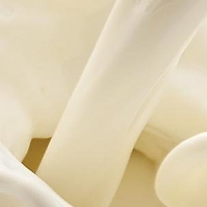 New dairy standard will improve accuracy of millions of milk tests performed every day