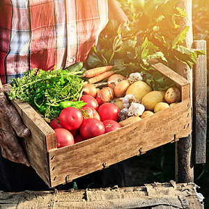 Old man’s hand holding a wooden crate filled with fresh vegetables.