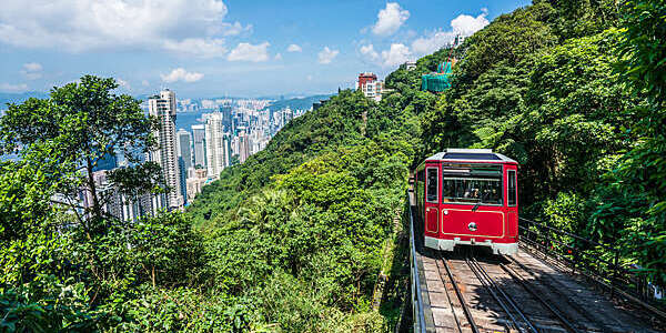 Front view of Hong Kong’s “Peak Tram” funicular emerging from a sea of greenery, with plunging view over the city.